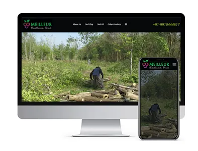Low Cost online shopping Website Development