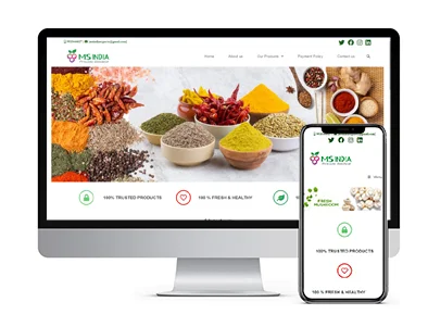 Low Cost online shopping Website Development